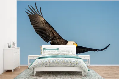 Produktbild von MuchoWow® Fototapete für Wohnzimmer oder Schlafzimmer Wandtapete Vinyl Motivtapete Vogel - Adler - Raubvögel - 375x280 cm - Schlafzimmer tapete