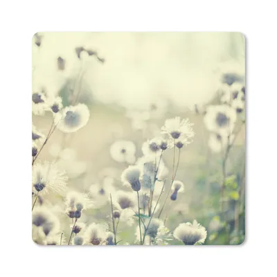 Produktbild von MuchoWow® Mauspad Mousepad Blumen - Feld - Weiß 30x30 cm - Mousepads - Maus Mat - Pad - Mausunterlage - Gaming