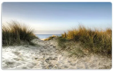 Produktbild von Wallario Frühstücksbrettchen aus Glas, je 14 x 23 cm, mit rutschfesten Füßen, Motiv Weg durch die Dünen zum Strand am Meer