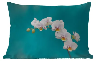 Produktbild von MuchoWow® Outdoor Kissen - Orchidee - Blumen - Pflanze - Weiß - Lila - 50x30 cm - Wetterfest - Lounge Kissen - Sofa kissen - Wohnzimmer Dekoration