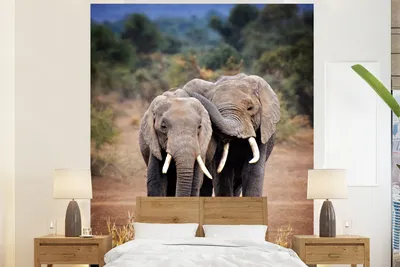 Produktbild von MuchoWow® Fototapete für Wohnzimmer oder Schlafzimmer Wandtapete Vinyl Motivtapete Elefantenfreunde - 180x220 cm - Tapezierpapier