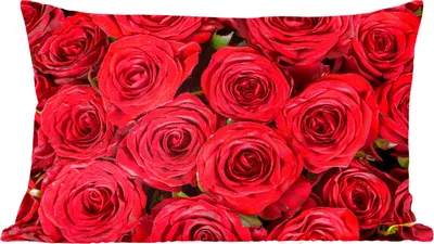 Produktbild von MuchoWow® Zierkissen Sofakissen Wohnzimmer Dekokissen 50x30 cm Rosen - Rot - Blumenstrauß - Wohnzimmerdekoration - Polster mit Photo
