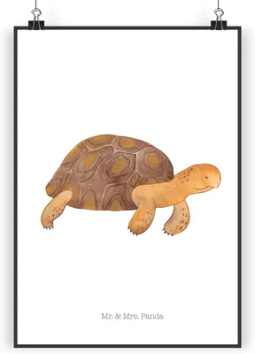 Produktbild von Mr. & Mrs. Panda Bild Schildkröte Marschieren DIN A4 - Weiß - Geschenk, Plakat, Meer, Wanddeko, drucke, Kunstdruck, Abenteuer, Inspiration, Wandbild, Schildkröten
