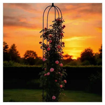 Produktbild von Rankhilfe Obelisk | 240 cm Höhe