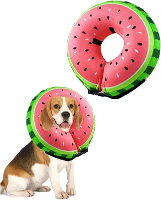 Image de Collier gonflable pour chien et chat, Collier de protection Protection contre les fuites pour convalescence, Réglable