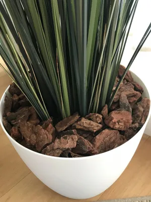 Produktbild von aplanta Dekor-Pinie grob (25-40 mm) | 60 L, Zubehör, wie echt, für Allergiker geeignet, pflanzliche Dekoration Praxis, Office & Wohnzimmer