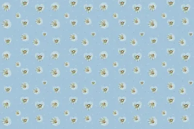 Obrázok produktu pre Muralo fototapeta 360 x 240 cm netkaná tapeta moderné nástenné maľby XXL kvety púpavy príroda flóra