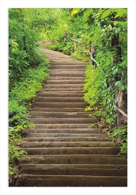 Produktbild von Wallario Wandbild Steintreppe im Wald, Größe: 61 x 91,5 cm, Poster mit rahmenlosen Bildhalter