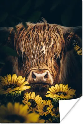 Produktbild von MuchoWow® Poster Schottische Highlander - Blumen - Kuh - Botanisch - Tiere 120x180 cm - Kunstposter