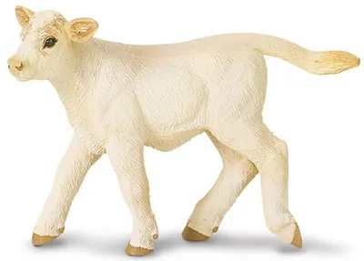 Produktbild von Safari s231329 Farm de Charolais Kalb Miniatur