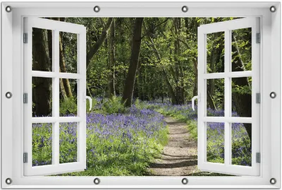 Produktbild von Wallario Outdoor-Poster für Garten oder Balkon 80 x 120 cm: Wiese voller blauer Hasenglöckchen im Wald
