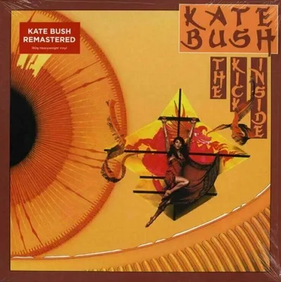 Immagine prodotto di Kate Bush - Il calcio dentro il vinile