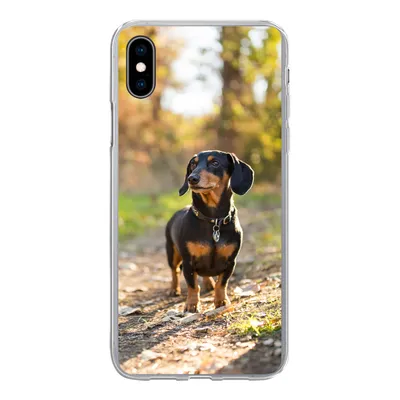 Produktbild von MuchoWow® Handyhülle Schutzhülle Hülle für iPhone Xs Ein schöner Dackel im Wald Silikon Softcase Handy Hülle - Handytasche
