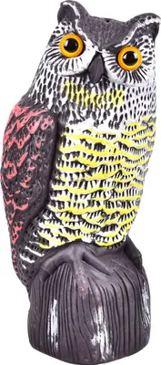 Immagine prodotto di Repellente per uccelli Gufo, 36 cm