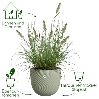 Image de sereh rond 30cm vert scandinave