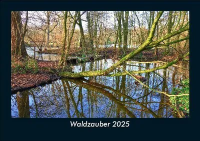 Produktbild von Waldzauber 2025 Fotokalender DIN A5