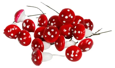 Produktbild von Baumschmuck Fliegenpilz 18er Set Weihnachtsbaumanhänger Christbaumschmuck