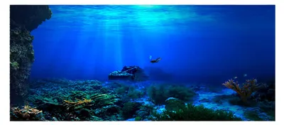 Image de Fond d'aquarium 3D, adhésif, dimensions 122 x 46 cm, pour le mur de l'aquarium
