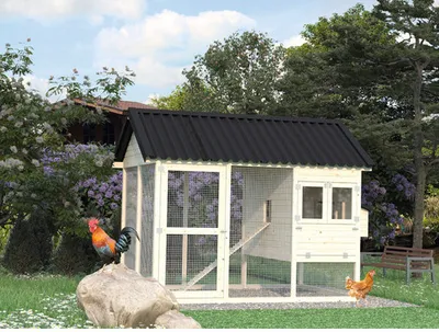 Produktbild von Hühnerstall Palmako Chick 6,7 m² 316 x 213 cm natur