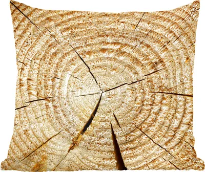 Produktbild von MuchoWow® Zierkissen Sofakissen Wohnzimmer Dekokissen 45x45 cm Baum - Jahresring - Baumstumpf - Schlafpolster - Polster für das Sofa