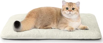 Produktbild von Selbstheizende Katzendecke für Katzen Wärmedecke Katzen Selbstwärmende Decke Wärmekissen Katzenkissen Flauschig und Waschbar Katzenbett Wasserdicht und rutschfest Beige 56 x 32 cm