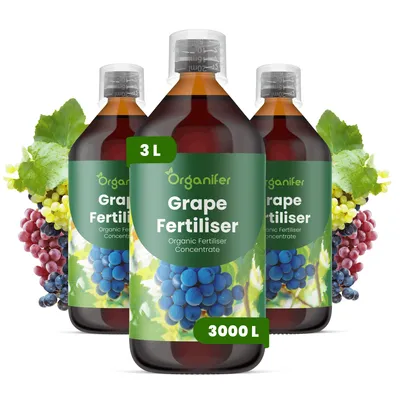 Produktbild von Flüssigdünger für Trauben und Weinreben 3x1L – 2-1-8 NPK - Flüssiger Pflanzendünger für Wachstum, Wurzeln und Ernte - Organifer