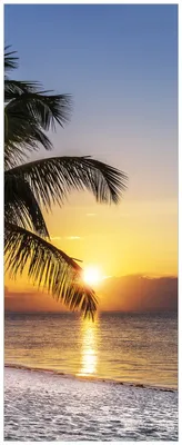 Produktbild von Wallario Wandbild aus Acryl, 200 x 80 cm, freischwebende Optik - Palme am Strand - Sonnenuntergang über dem Meer