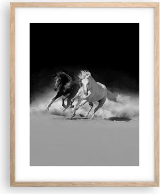 Produktbild von Gerahmtes Poster - Rahmen in heller Eiche - Andalusier Pferde Galopp - 40x50 cm - Wand Bild - Wanddeko - Wandbilder - Wandposter - Bilderrahmen - Bilder - Kunstdruck - Wandbild - P2NPA40x50-4240