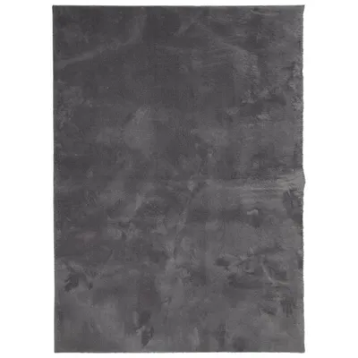 Produktbild von vidaXL Teppich HUARTE Kurzflor Weich und Waschbar Anthrazit 140x200 cm