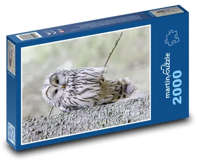 Zdjęcie produktu dla martinpuzzle - Puzzle 2000 - Ptak - sowa