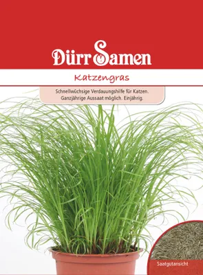 Produktbild von Dürr-Samen - Katzengras - Saatgut - 0223