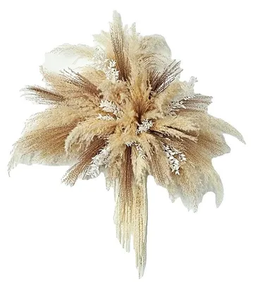 Productafbeelding van Pampasgras, ideaal voor bruiloften, veelzijdig voor interieurdecoratie, beige