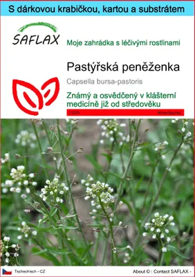 Obrázek produktu pro SAFLAX Dárková sada - pastýřská peněženka - Capsella bursa-pastoris - 1000 Semena - S dárkovou krabičkou, přepravním štítkem, dárkovou kartou a pěstebním médiem