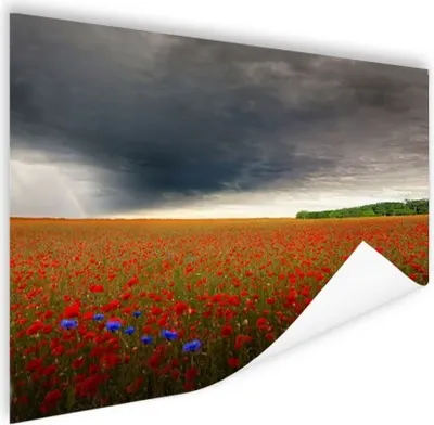 Produktbild von MuchoWow® Poster Blumen - Rot - Grau 180x120 cm - Fotoplakat