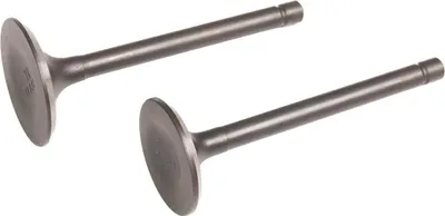 Obrázek produktu pro Ventily motoru Loncin cpl. G390F LC6500D-JAKO ORIGINÁLNÍ DÍL 500550030-0001