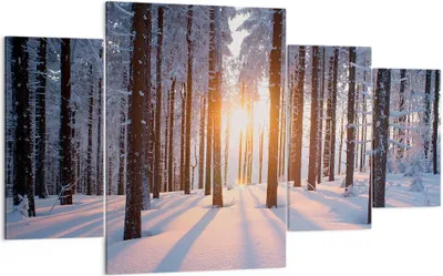 Produktbild von Bild auf Leinwand - Leinwandbild - Wald Winter Schnee - 160x90cm - Wand Bild - Wanddeko - Leinwanddruck - Bilder - Kunstdruck - Wanddekoration - Leinwand bilder - Wandkunst - DL160x90-3629