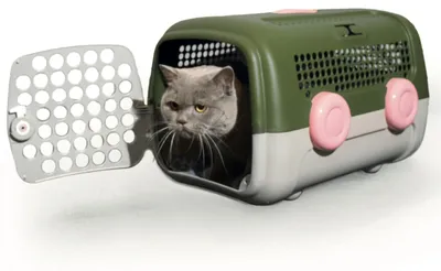 Zdjęcie produktu dla UNITED PETS A.U.T.O. - Transporter dla psów i kotów, wytrzymały, produkowany we Włoszech