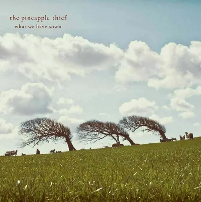 Zdjęcie produktu dla The Pineapple Thief - What We Have Sown (2 LP)