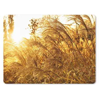 Produktbild von MuchoWow® Mauspad Mousepad Pampasgras - Sonne - Gras 23x19 cm - Mousepads - Maus Mat - Pad - Mausunterlage - Schreibtischunterlage - Mauspad