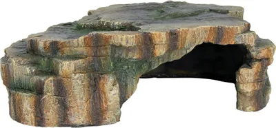 Immagine prodotto di Rettili grotta 22 × 7 × 15 cm