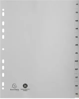 Image de Exacompta Intercalaires pour classeurs à anneaux PP A4 XXL Janv.-Déc. Gris 12 compartiments