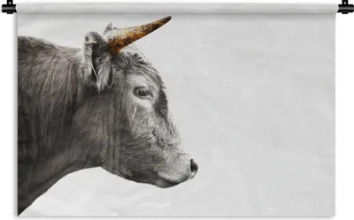 Produktbild von MuchoWow® Wandteppich Wandbehang Schottisches Hochlandrind - Tiere - Horn - Gold 120x80 cm Tapisserie Dekoration Wandtuch - Wanddekorationen - Wandtücher