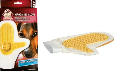 Zdjęcie produktu dla Pies w rękawicy pielęgnacyjnej