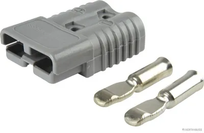 Zdjęcie produktu dla Wtyczka 2-Pin
