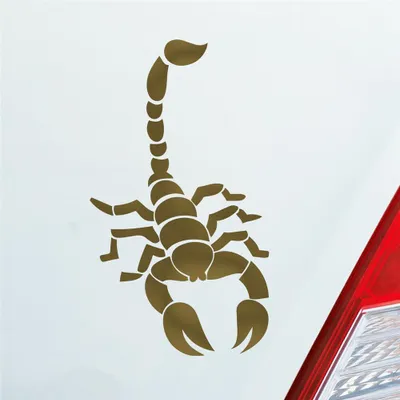 Produktbild von Auto Aufkleber Skorpion Krebs Motorrad Sternzeichen 15x8,5 cm Gold Sticker Heckscheibenaufkleber