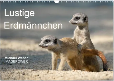 Produktbild von Lustige Erdmännchen (Wandkalender 2026 DIN A3 quer), CALVENDO Monatskalender
