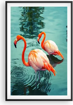 Produktbild von Gerahmtes Poster - Schwarzer Rahmen - Rosa Flamingos Wasser - 61x91,5 cm - Wand Bild - Wanddeko - Wandbilder - Kunstposter - Wandposter - Bilderrahmen - Bilder - Kunstdruck - Wandbild P2BPA61x91-4203