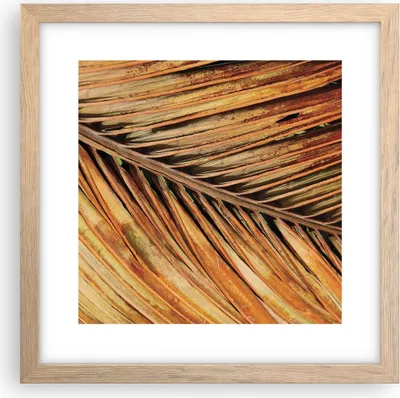 Produktbild von Gerahmtes Poster - Rahmen in heller Eiche - Orange Blatt Tropisch - 30x30 cm - Wand Bild - Wanddeko - Wandbilder - Kunstposter - Wandposter - Bilderrahmen - Bilder - Kunstdruck - P2NAC30x30-4876