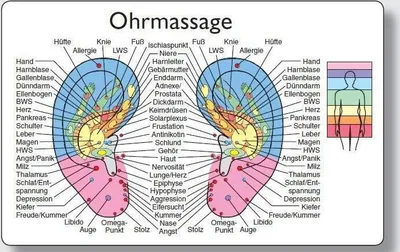 Produktbild von Reflexzonenmassagekarte "Ohr"