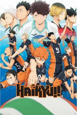 Produktbild von Haikyu Key Art Manga Anime Poster 61x91,5 cm ohne Zusatzartikel